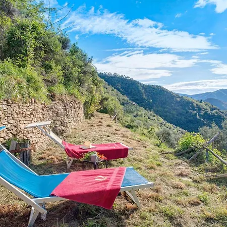Homestay In The *